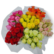 Rozen